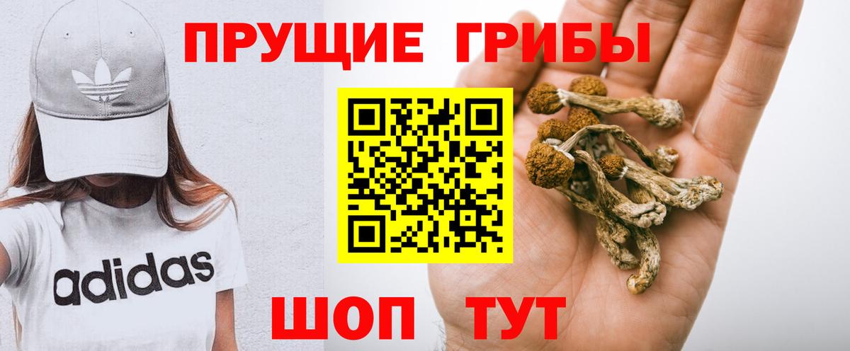 Галлюциногенные грибы Cubensis  дарнет шоп  Усть-Лабинск  Вход с VPN  Псилоцибиновые грибы Psilocybine cubensis 
