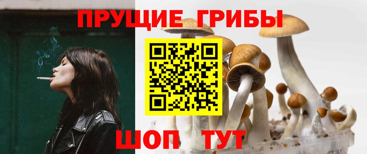 Псилоцибиновые грибы Cubensis Усть-Лабинск